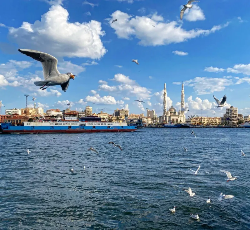 Ship Chandler Port Said marine supply operation in Egypt