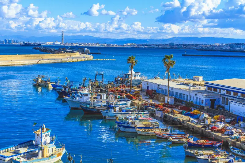 Ship Chandler Algiers marine supply operation in Algeria